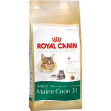 ROYAL CANIN Maine Coon 31 4 kg
